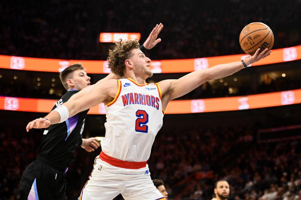 的森林狼事 的森林狼事